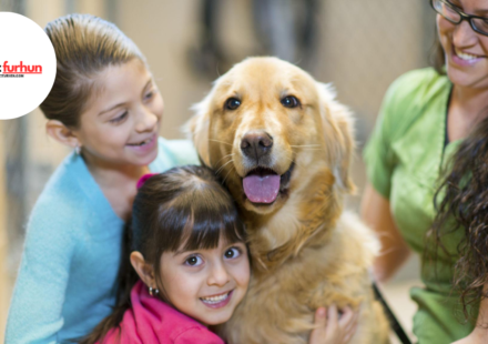 golden valley humane society