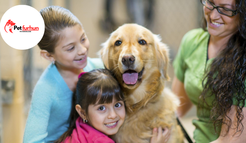 golden valley humane society