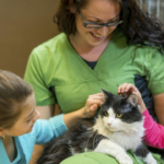 Petfinder