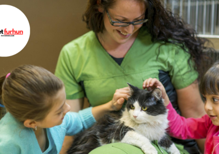 Petfinder