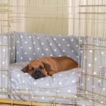 Crate training