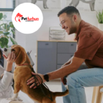 dog allergy
