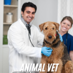 Animal vet