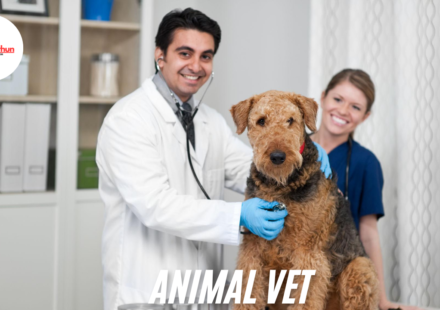 Animal vet