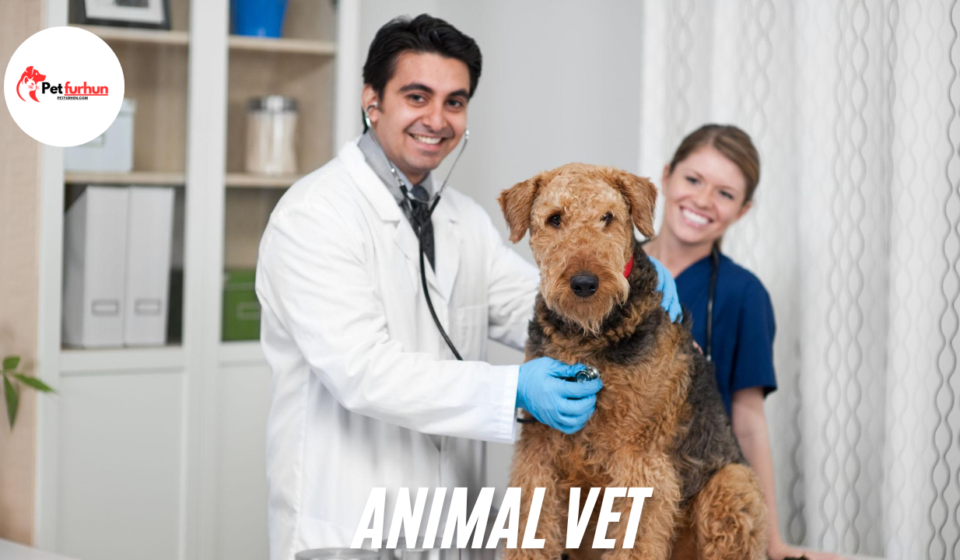 Animal vet