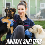 Animal shelters