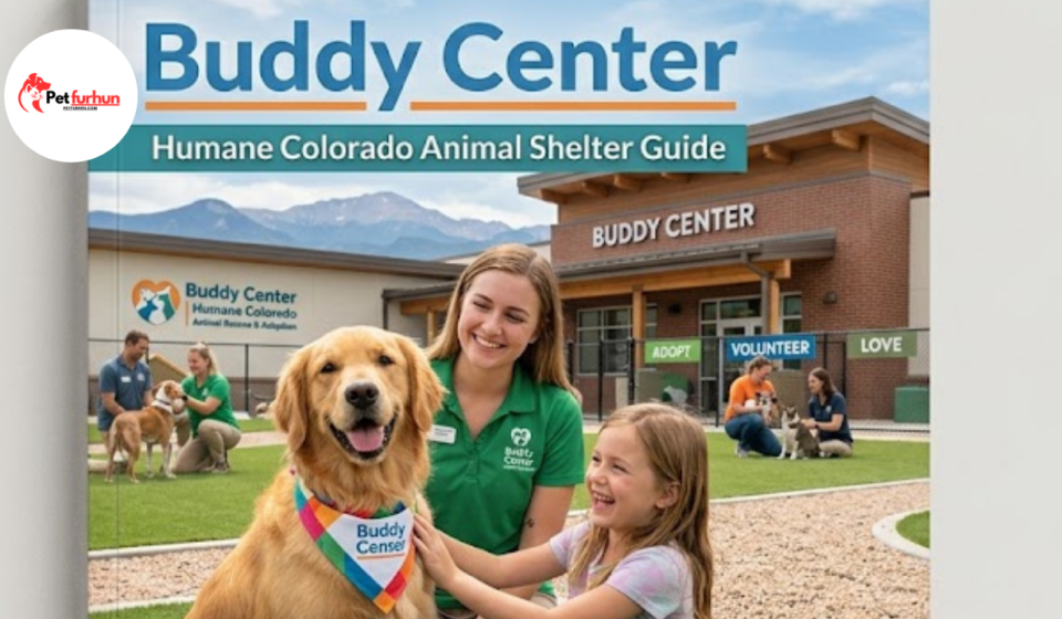 Buddy Center