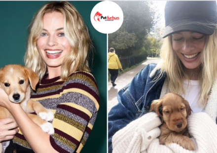 margot robbie pets