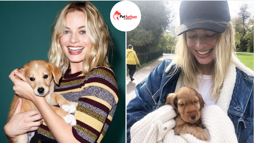margot robbie pets