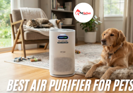 best air purifier for pets