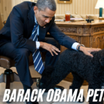 barack obama pets