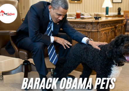 barack obama pets