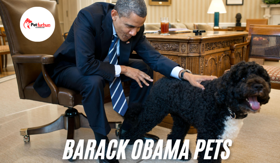 barack obama pets