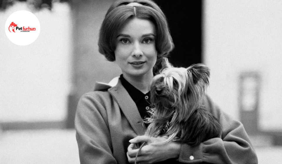 Audrey Hepburn pets