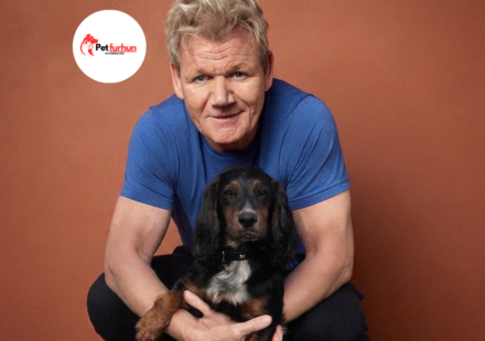 gordon ramsay pets