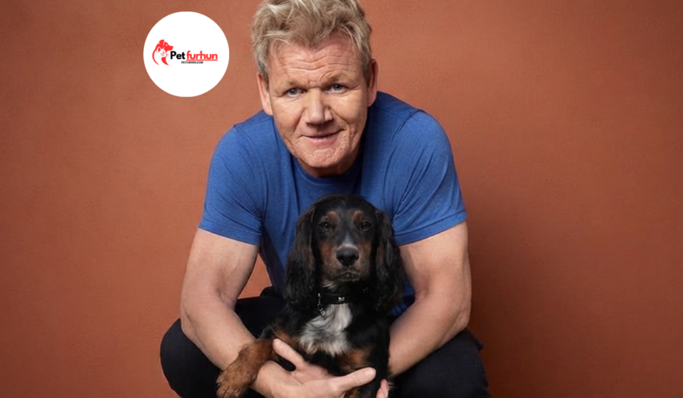gordon ramsay pets