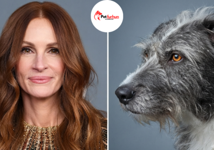julia roberts pets