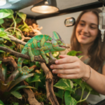 are chameleons good pets
