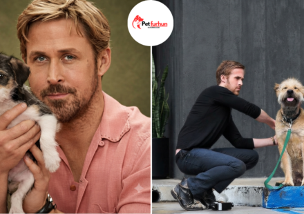 ryan gosling pets
