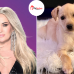 carrie underwood pets