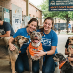 harris county pets