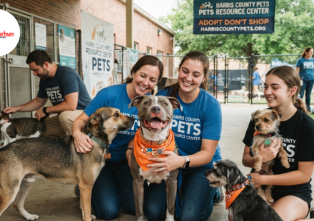 harris county pets