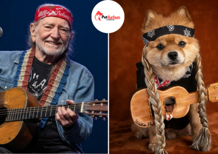 willie nelson pets