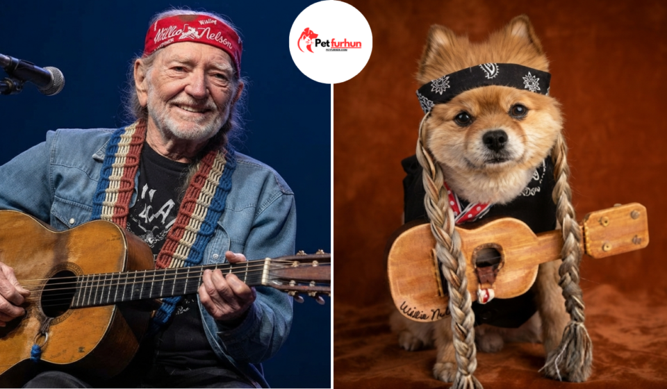 willie nelson pets