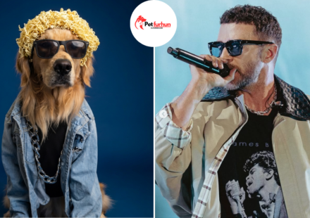 justin timberlake pets