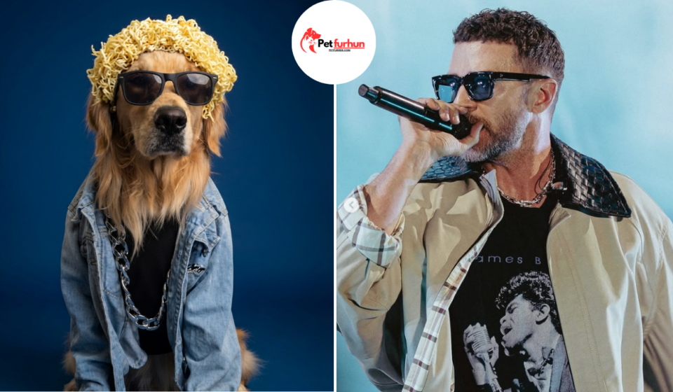 justin timberlake pets
