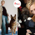 cate blanchett pets