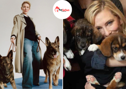 cate blanchett pets