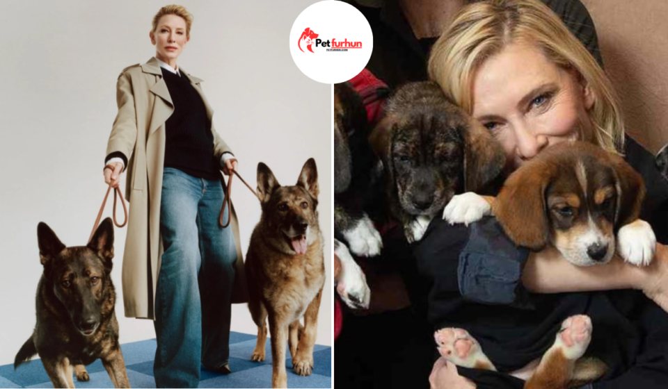 cate blanchett pets