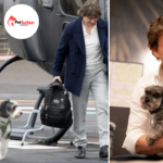 tom cruise pets
