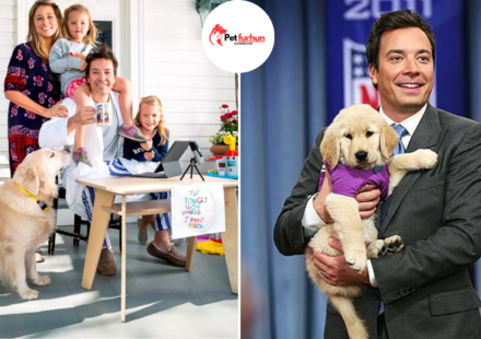 jimmy fallon pets