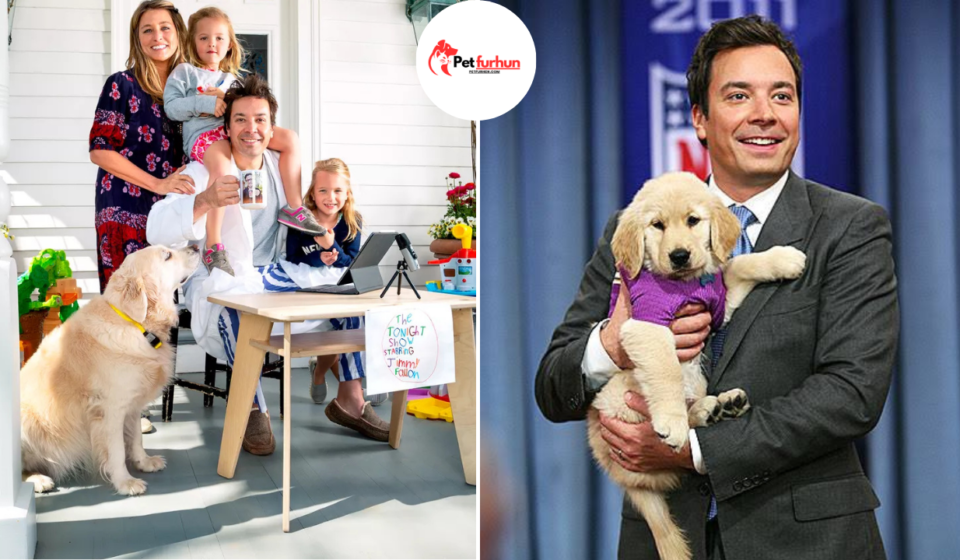 jimmy fallon pets