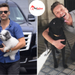 ryan seacrest pets
