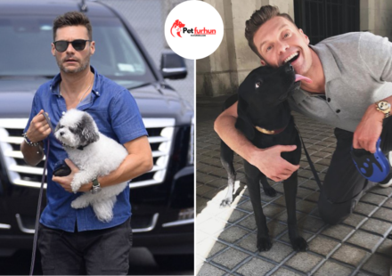 ryan seacrest pets