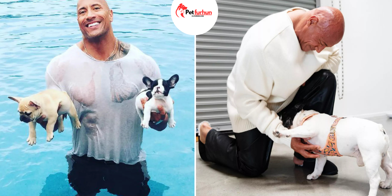 dwayne johnson pets