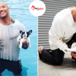 dwayne johnson pets