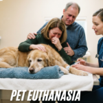 pet euthanasia