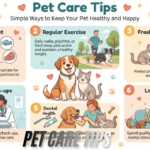 pet care tips